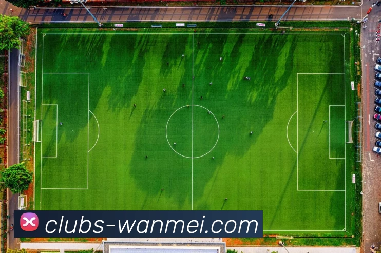 完美体育投注平台APP 封面图